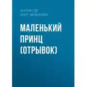Постер книги Маленький принц (отрывок)