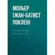 Постер книги Мещанин во дворянстве