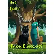 Постер книги Баюн В Законе?