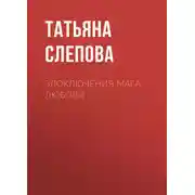 Постер книги Злоключения мага Любови