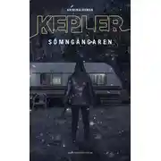 Постер книги Лунатик