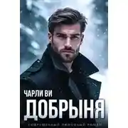 Постер книги Добрыня