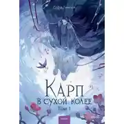Постер книги Карп в сухой колее. Том 1