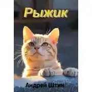 Постер книги Рыжик