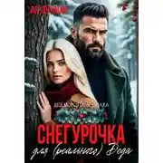 Постер книги Снегурочка для (реального) Деда
