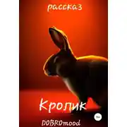 Постер книги Кролик