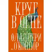 Постер книги Круг в огне: Рассказы