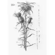 Постер книги Мальчик и фея