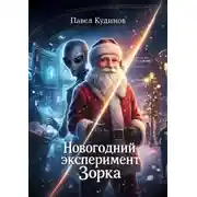 Постер книги Новогодний эксперимент Зорка