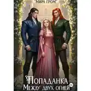 Постер книги Попаданка. Между двух огней