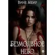 Постер книги Безмолвное небо