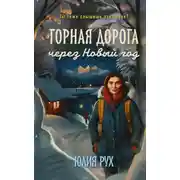 Постер книги Горная дорога через Новый год