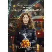 Постер книги Двери закрываются или станция метро Новогодняя