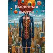 Постер книги Вселенная внутри нас