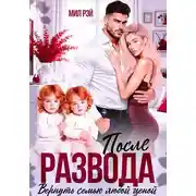 Постер книги После Развода. Вернуть семью любой ценой