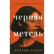 Постер книги Черная метель