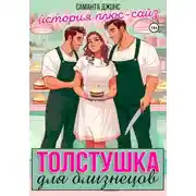 Постер книги Толстушка для близнецов. История плюс-сайз