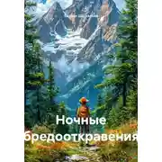 Постер книги Ночные бредооткровения