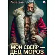 Постер книги Мой свёкр – Дед Мороз