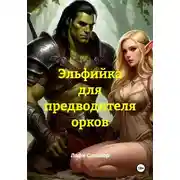 Постер книги Эльфийка для предводителя орков