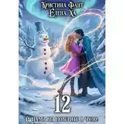 Постер книги 12