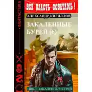 Постер книги Закаленные бурей 6
