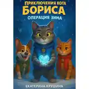 Постер книги Приключения кота Бориса: Операция «Зима»