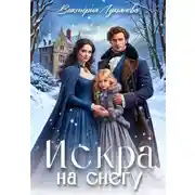 Постер книги Искра на снегу