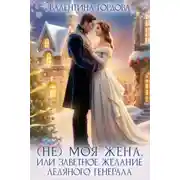 Постер книги (Не) Моя жена, или Заветное желание Ледяного генерала