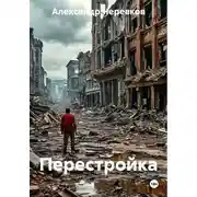 Постер книги Перестройка