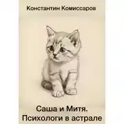 Постер книги Саша и Митя. Психологи в астрале