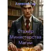 Постер книги Стажёр Министерства Магии