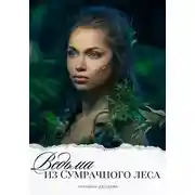 Постер книги Ведьма из сумрачного леса
