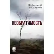 Постер книги Необратимость
