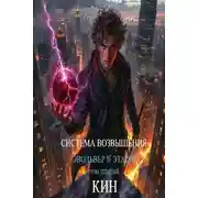 Постер книги Эвольвер III этапа