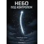 Постер книги Небо под контролем. Свадебный салют. Часть I
