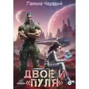 Постер книги Двое и «Пуля»