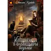 Постер книги Из генерала в фамильяры ведьмы