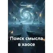 Постер книги Поиск смысла в хаосе