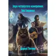 Постер книги Звук четвёртого измерения: Эхо Тишины
