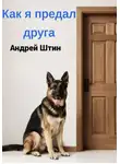 Андрей Штин - Как я предал друга