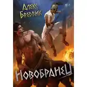 Постер книги RPG: Новобранец. Том 1