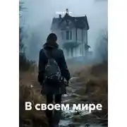 Постер книги В своем мире