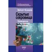 Постер книги Скрытые сокровища. Путеводитель по внутреннему миру ребенка
