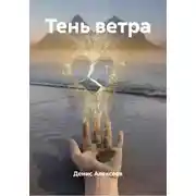 Постер книги Тень ветра