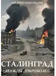 Андрей Небольсин - Сталинград. Дважды доброволец