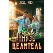 Постер книги Князь Целитель 4