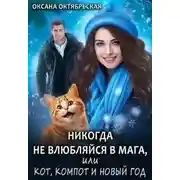 Постер книги Никогда не влюбляйся в мага, или Кот, компот и Новый год