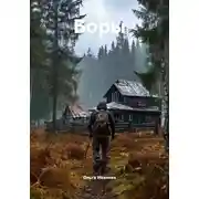 Постер книги Боры