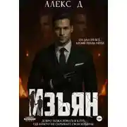 Постер книги Изъян